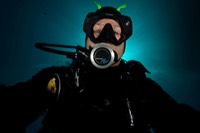 donnaselfportraithalo